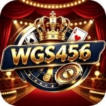 WGS 456 Game